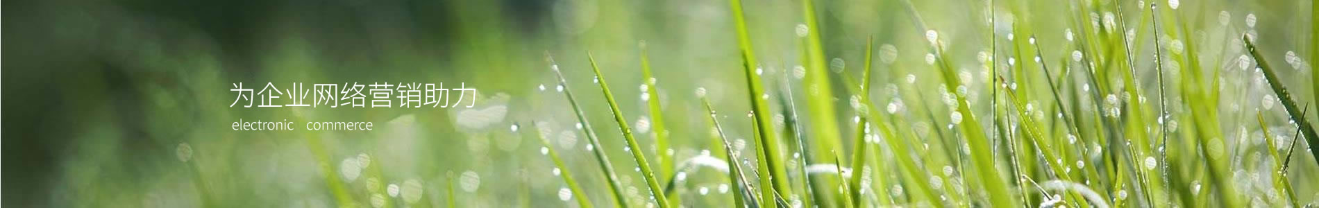 ԶҵƼ޹˾